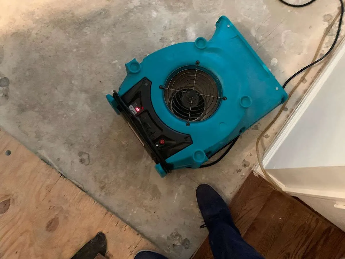 Air mover drying subfloor during Commercial Water Damage Restoration in Ypsilanti